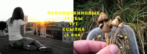 a pvp Армянск