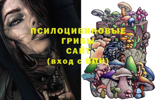 прущие крисы Алексин