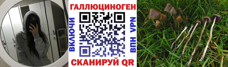 Псилоцибиновые грибы GOLDEN TEACHER  Светлоград 