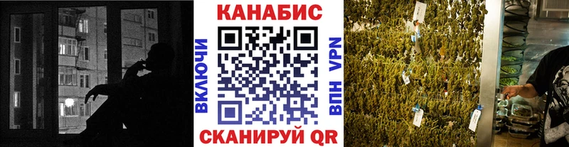 Марихуана сатива Светлоград